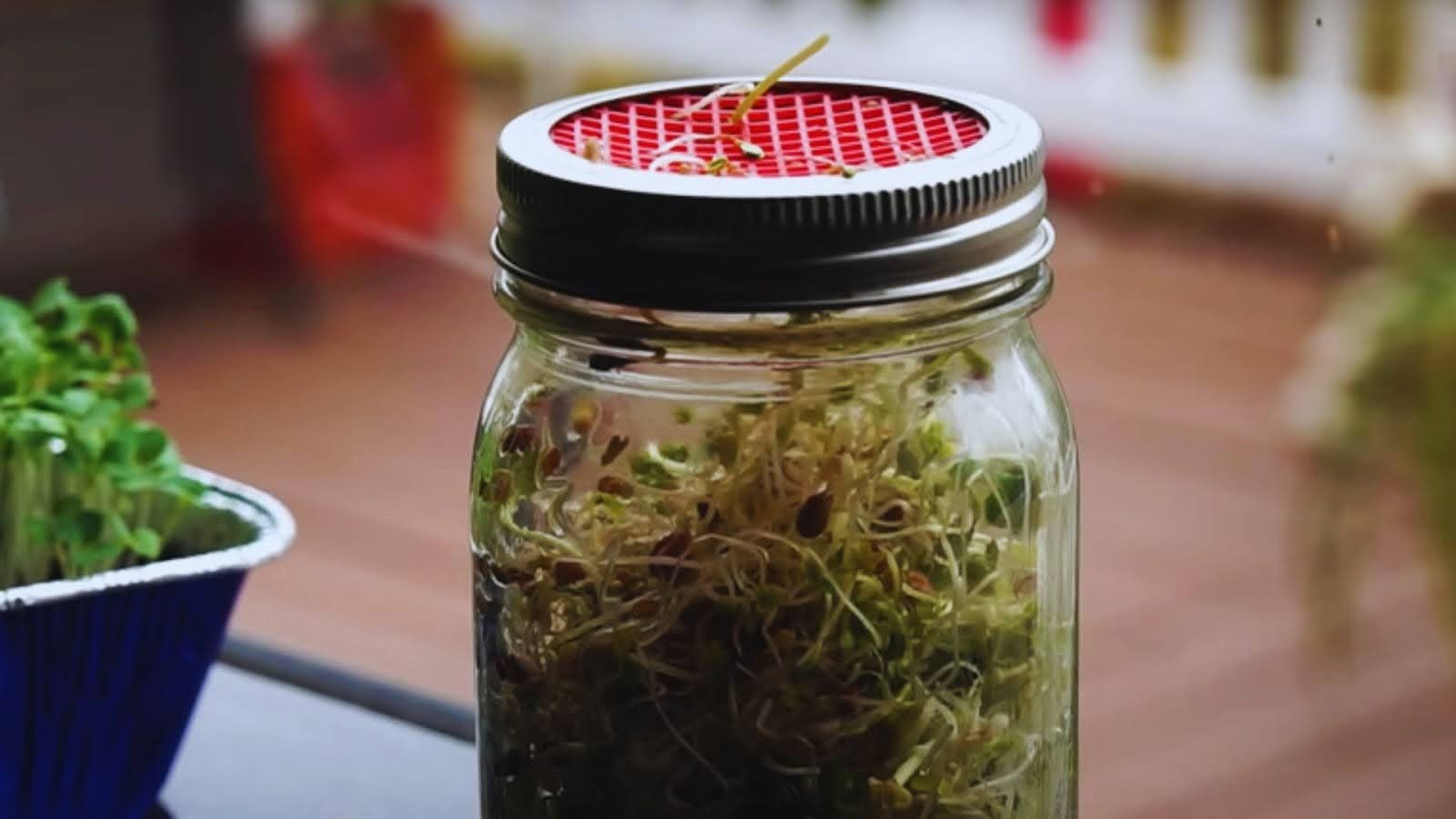 Upcycled Mason Jar Lid Stakes